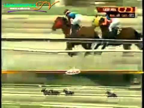 LA RINCONADA 2CARRERA DOMINGO 22 DE JUNIO DEL 2014