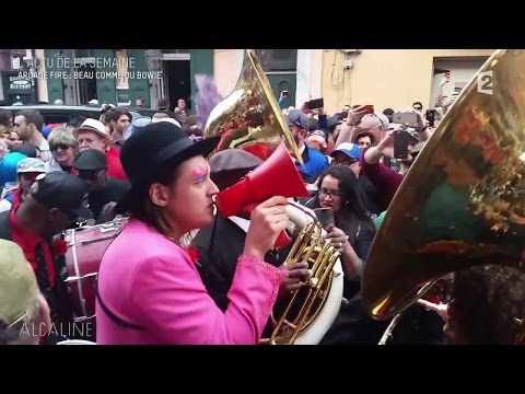 Alcaline, le Mag : Les news avec Alain Chamfort, Steve'n'Seagulls...