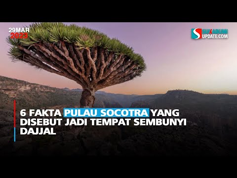 6 Fakta Pulau Socotra yang Disebut Jadi Tempat Sembunyi Dajjal