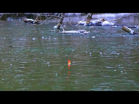 Fishing in a Blizzard for HOT Steelhead! - BOBBER DOWNS