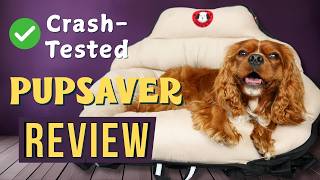 Crash Tested Dog Car Seat| PupSaver Car Seats for Small Dogs