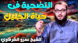 صورة عمرو الشرقاوي