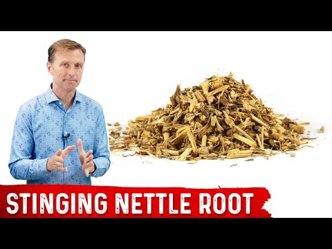 5 Benefits of Stinging Nettle Root