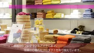商業施設　店頭サイネージ映像制作（BALS）