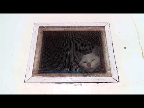 Peeping Tom in the Bathroom Caught on Video