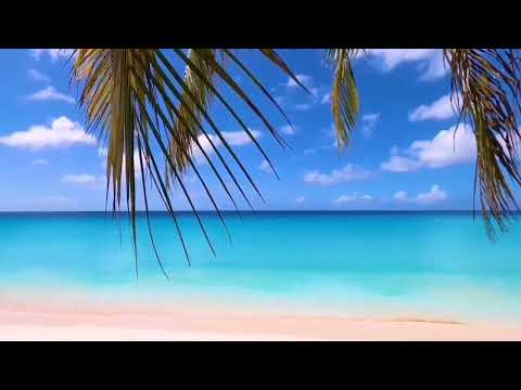 Müzik