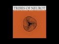 Tribes of Neurot - Adaptablility
