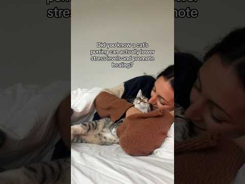 It’s good for you and your furry friend(s) ♥️ #healing #cats #love #cuddlycats