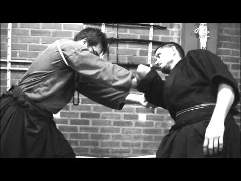 Ogawa Ryu Koppojutsu Documentary - Impresión