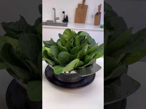 Vegane Rezeptidee🧑🍳🥕🌱 #vegan #recipe