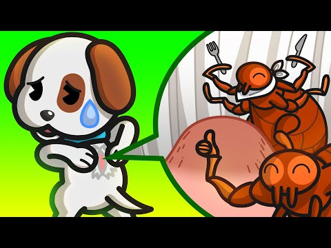 Jaya's Dog Gets Fleas! | Dog Showdown | emojitown