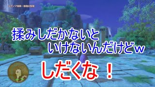 【W実況】しだくな！『ドラゴンクエストⅪ S』34ページ目