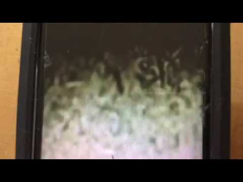 Portera consulente Gambirasio: test di paternità fatto in parte e senza parametri scientifici certi