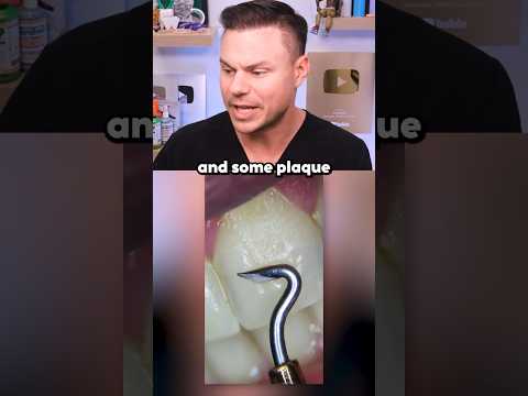 Your Teeth Under A Microscope! 🦷🔬