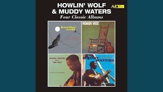 I Done Got Wise (From "Sings Big Bill Broonzy")