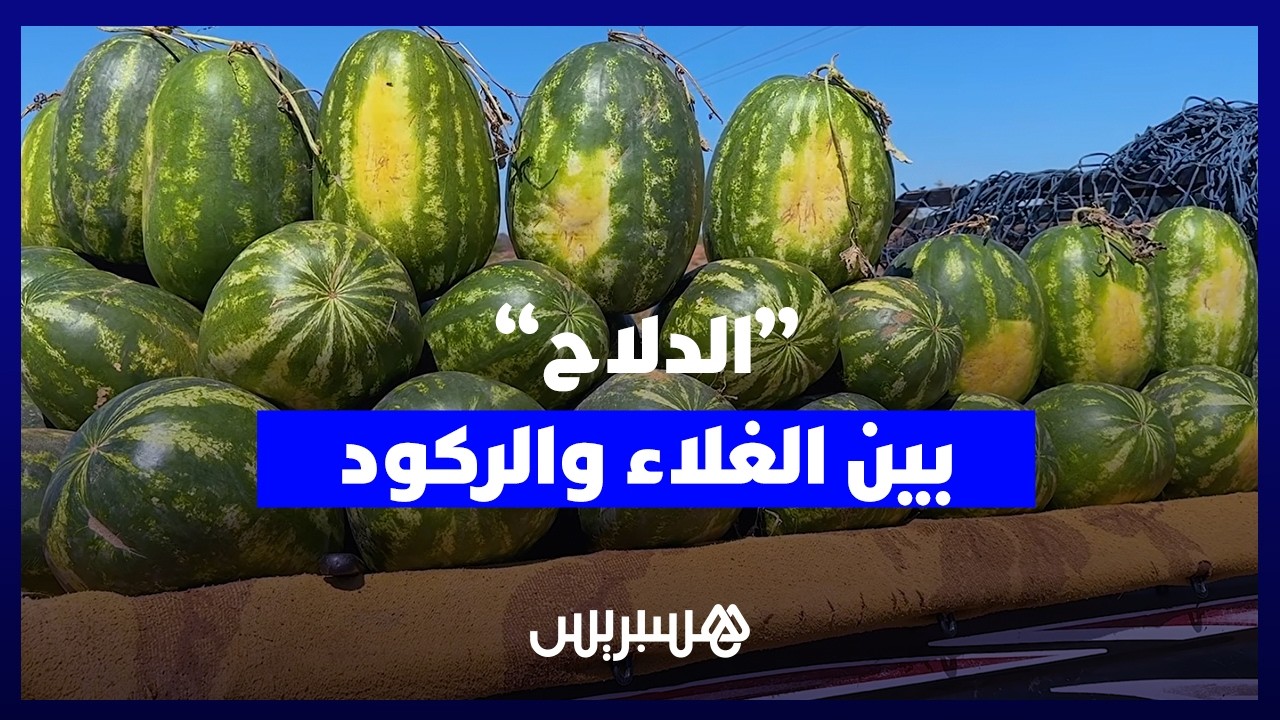 بين الغلاء وضعف الإقبال… باعة الدلاح يواجهون الركود في طريق سيدي الطيبي بالقنيطرة thumbnail