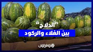 بين الغلاء وضعف الإقبال… باعة الدلاح يواجهون الركود في طريق سيدي الطيبي بالقنيطرة thumbnail