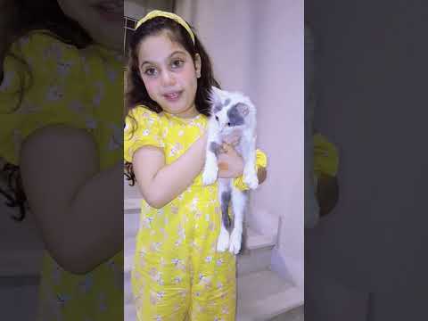 cat ka white baby 😳