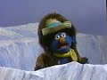 Sesame Street The Penguin Dance Fast