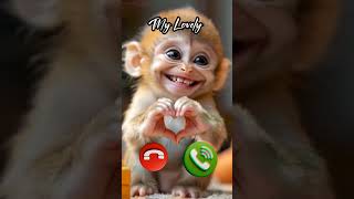 Download lagu kartun animasi lucu || monyet calling #ringtone #smartphone #music #cartoon #song #iphone mp3