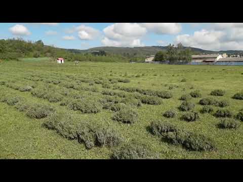 Kemp v Levandulovém údolí v srdci Barrandien geoparku