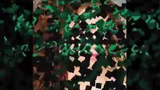 Palabras del Corazon (Torrente) Franco de vida