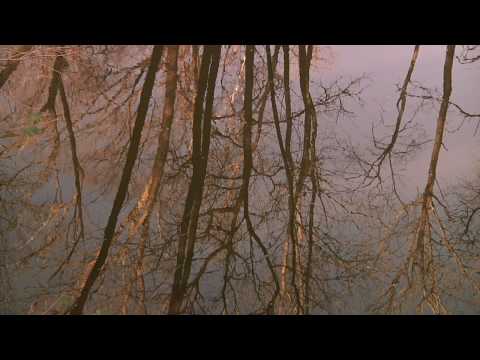 禅の修行の実 (The Fruits of Zen Practice)