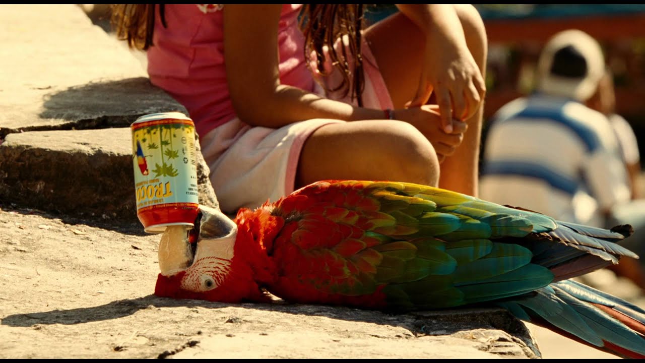 Miniature de la vidéo Sur la piste du Marsupilami - Bande-annonce du film Sur la piste du Marsupilami