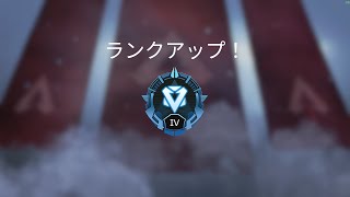 APEXランク