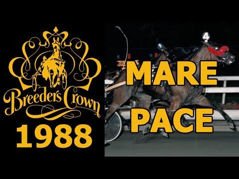 1988 Breeders Crown - Anniecrombie  - Mare Pace
