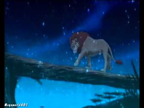 Animash - Sie Leben Hier