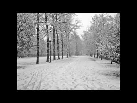 Inexistenz -  Erkenntnis