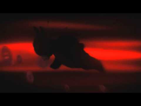 Sikitikis - Col Cuore in Gola (Official Video 2012)