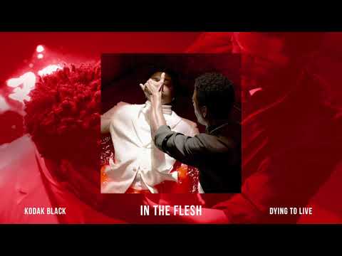 download lagu mp3 mp4 Kodak Black In The Flesh, download lagu Kodak Black In The Flesh gratis, unduh video klip Download Kodak Black In The Flesh Mp3 dan Mp4 Popular Gratis