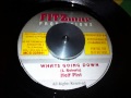 Half Pint - Whats Going Down + Dub