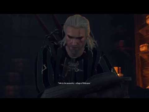 The Witcher 3: Wild Hunt - The Nilfgaardian Connection: Hendrik's Glossary Ledger "Baron & Witch"