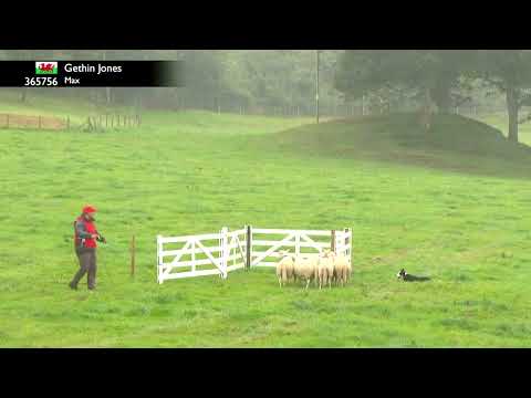 Gethin Jones & Max - International Supreme Qualifying