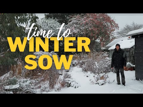 Winter Sowing Seeds in Containers | Easy Method for Perennials & Cold-Hardy Flowers