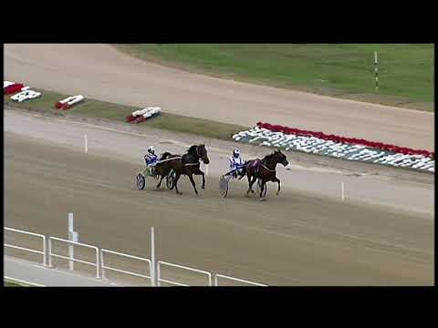 Napoli Trotto 02/10/2021 - 2ª prova di qualifica