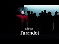 [EXTRAIT] TURANDOT by Puccini (Elena Pankratova & Gwyn Hughes Jones)