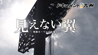 動画のサムネイル