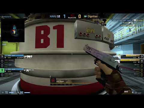 CS:GO POV Demo Dignitas f0rest (26/13) vs HAVU (de_nuke)