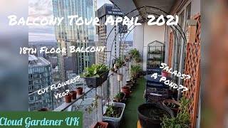 Balcony Garden Tour || My Cloud Garden Balcony Garden Tour UK, Cut Flowers, Salads & Veg