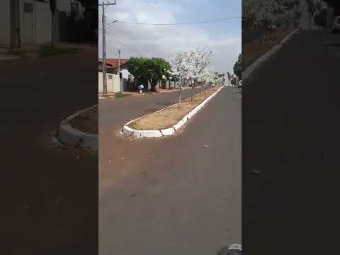 Joviania-GO #ipê #interiordegoias #seguir #like #comentem #smartphone #Brasil