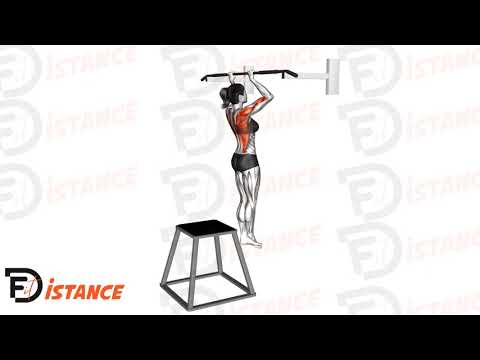 Exercice Tractions négatives