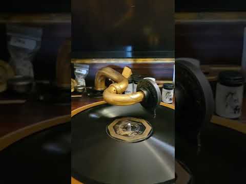 One Week Ago - Palace Garden Orchestra (California Ramblers) Pathe Records #036191 1924