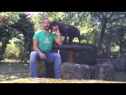 VIZCAINO & JORGE CASAL - SPOT JORGE CONCIERTO TEATRO PRINCIPAL