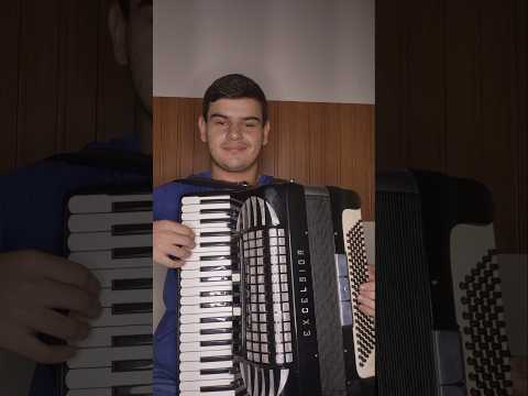 Alemão No Salão - Morais do Acordeon