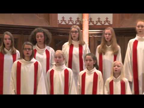 Gotteslobvideo (GL 328): Gelobt sei Gott im höchsten Thron