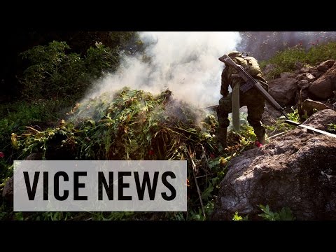 The Rise of Mexican Black Tar Heroin (Trailer)